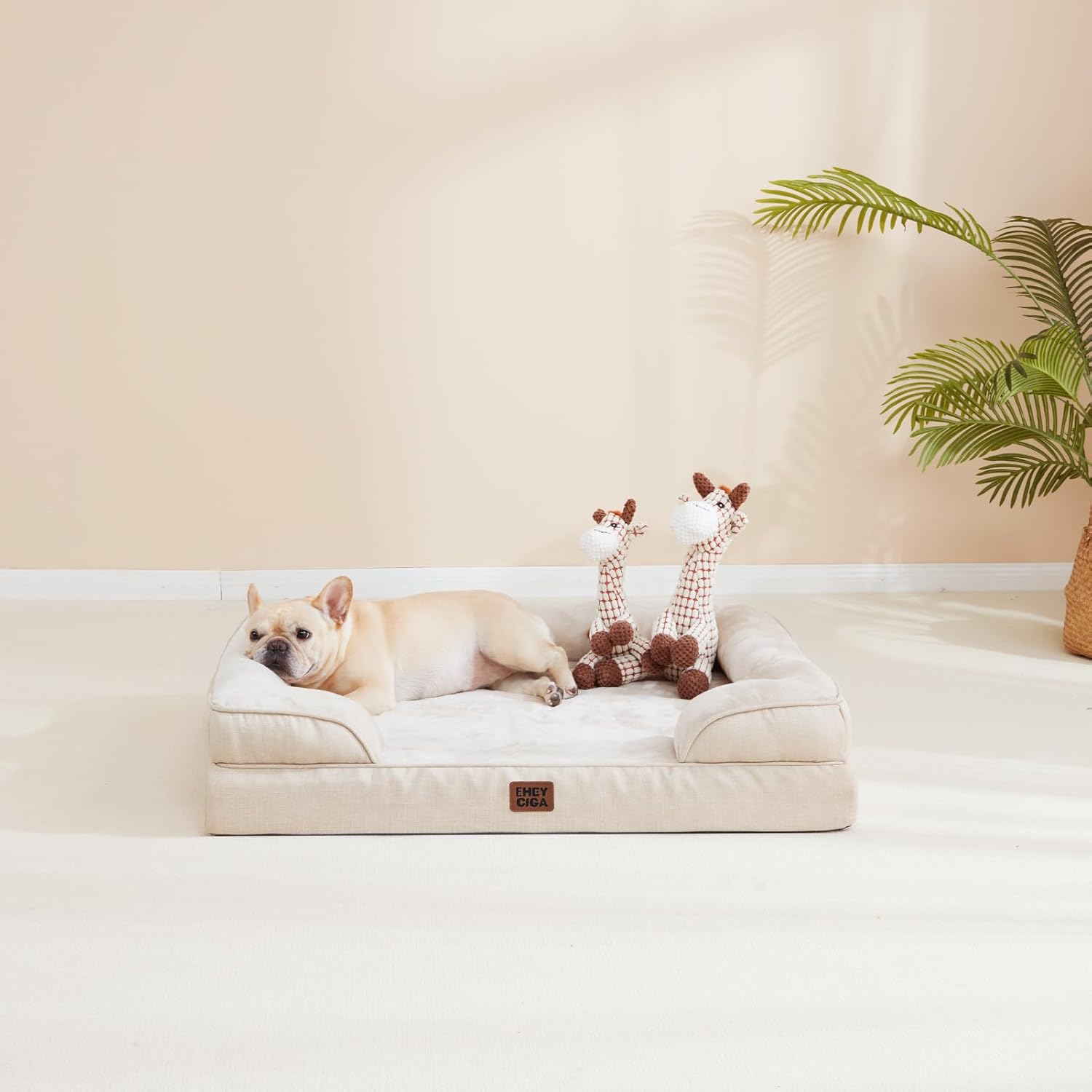 Camas Ortopédicas para Cães