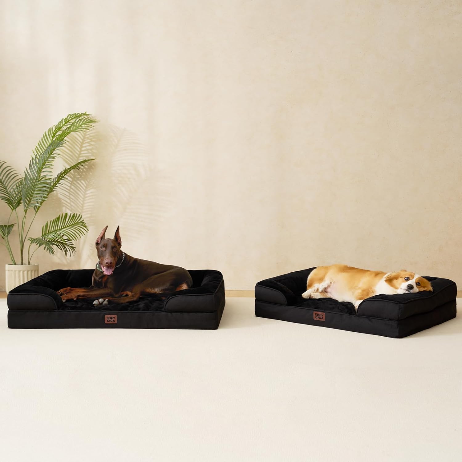 Camas Ortopédicas para Cães